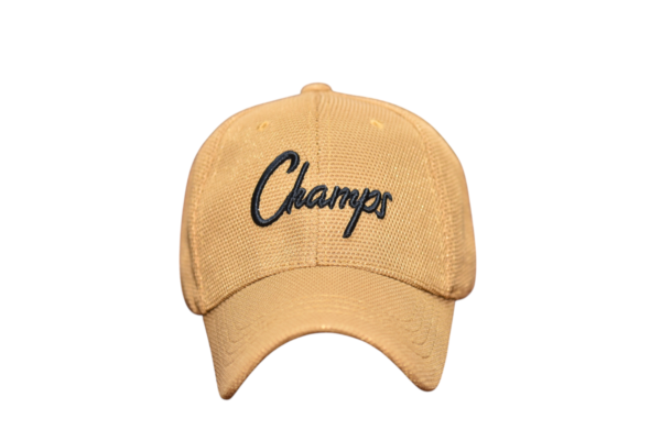 Camel Imported Washable Cap